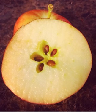 FullSizeRender (17).jpg